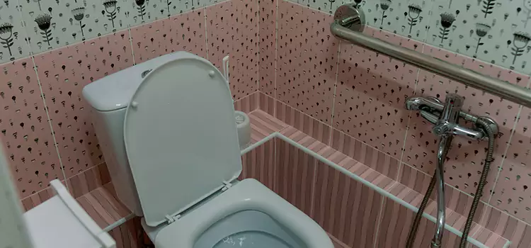 Meeting Diverse Needs With Accessible Restroom Solutions in Las Vegas, NV